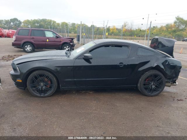 1ZVBP8AM9E5221348 Ford Mustang V6