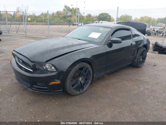 1ZVBP8AM9E5221348 Ford Mustang V6
