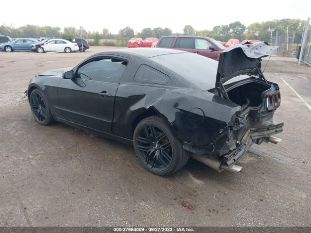 1ZVBP8AM9E5221348 Ford Mustang V6