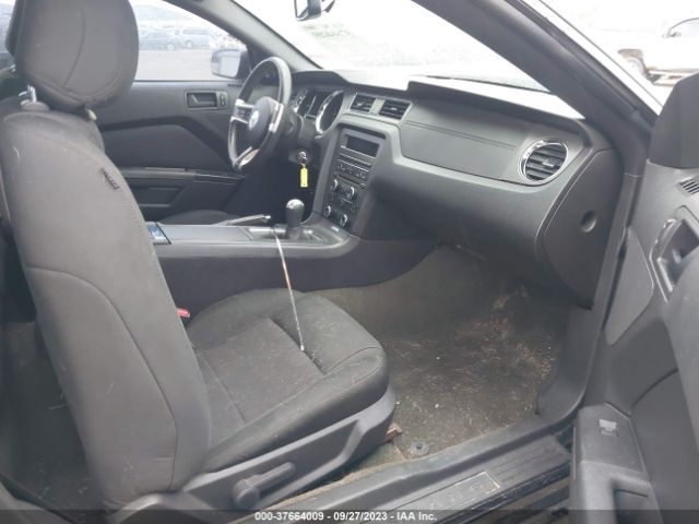 1ZVBP8AM9E5221348 Ford Mustang V6