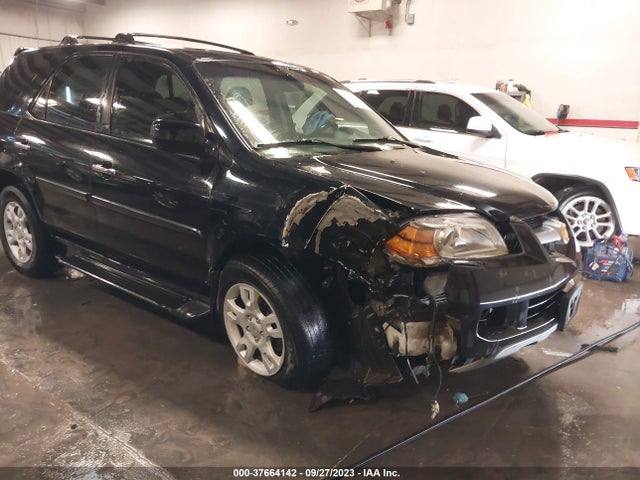 2005 ACURA MDX TOURING VIN: 2HNYD18825H525419