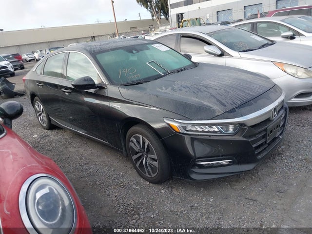 2020 1HGCV3F46LA006900 main image