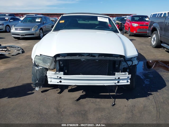 Ford Mustang V6 2014 1ZVBP8EM5E5208204 Image 13