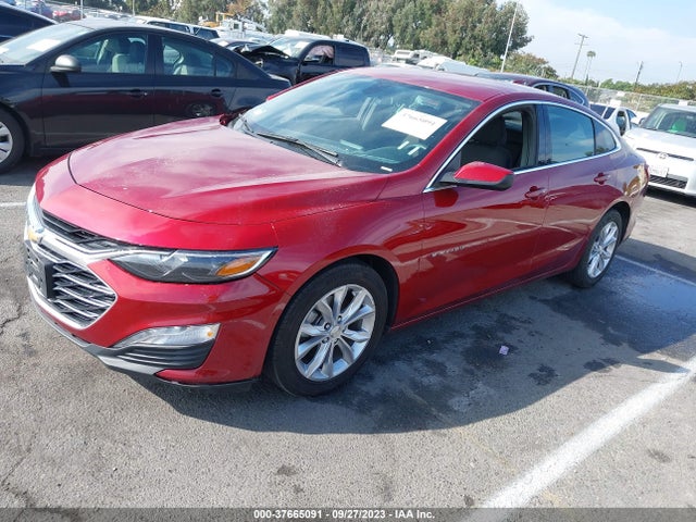 Chevrolet MALIBU LT 2019 1G1ZD5STXKF115861 Image 2