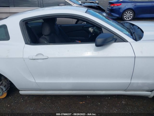 1ZVBP8AM6E5241332 Ford Mustang V6