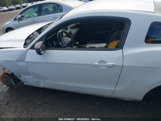 1ZVBP8AM6E5241332 Ford Mustang V6
