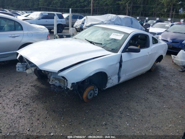1ZVBP8AM6E5241332 Ford Mustang V6