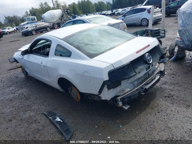 1ZVBP8AM6E5241332 Ford Mustang V6