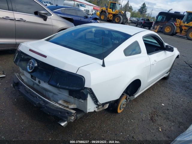 1ZVBP8AM6E5241332 Ford Mustang V6