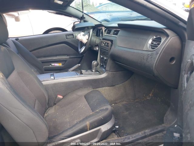 1ZVBP8AM6E5241332 Ford Mustang V6