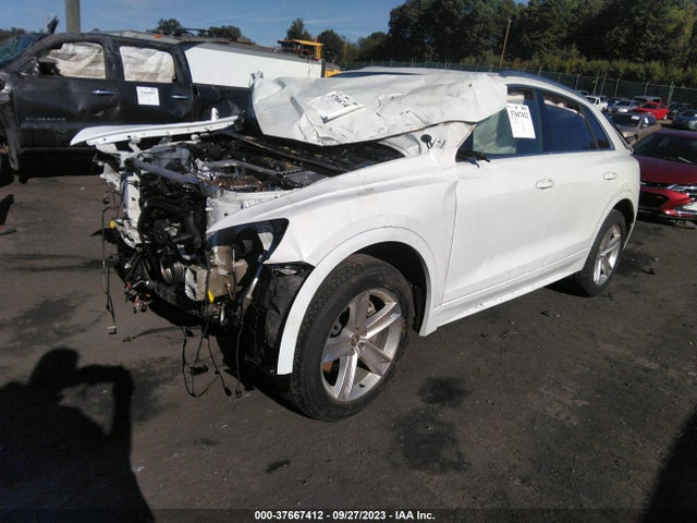 WA1AVAF19KD012262 Audi Q8 PREMIUM