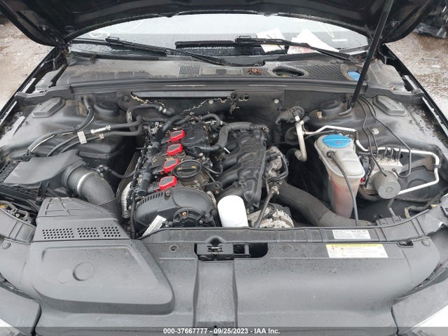 Audi A4 PREMIUM 2014 WAUDFAFL5EN030304 Image 10