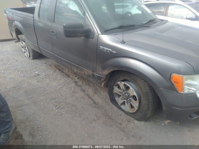 2013 FORD F-150 STX VIN: 1FTFX1EF6DFB28223