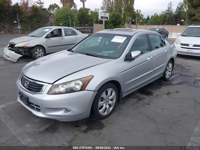 2010 HONDA ACCORD SDN EX-L VIN: 1HGCP3F85AA030079