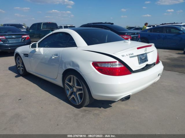 WDDPK4HA2FF104997 Mercedes-Benz SLK 250