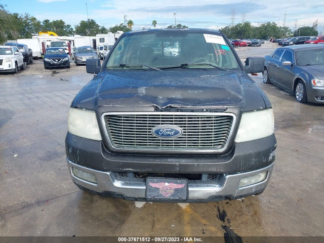 2005 FORD F-150 XLT/LARIAT/XL VIN: 1FTPX12595FA39151