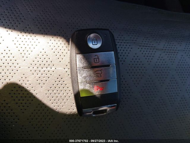 5XYPK4A15GG013502 KIA Sorento Sxl