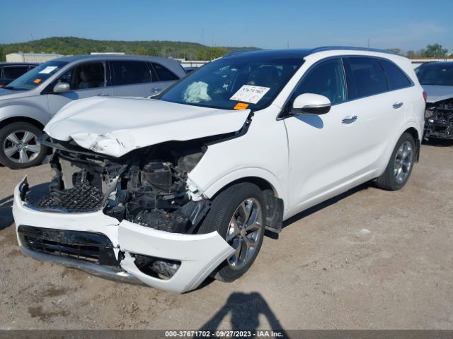 5XYPK4A15GG013502 KIA Sorento Sxl