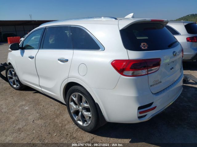 5XYPK4A15GG013502 KIA Sorento Sxl