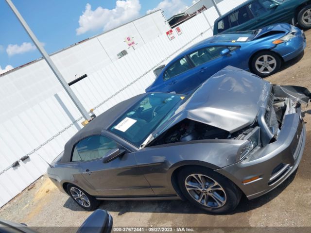1ZVBP8EM1E5290335 Ford Mustang V6