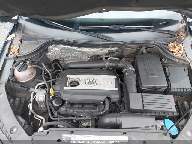 WVGAV3AX7EW519453 Volkswagen TIGUAN S