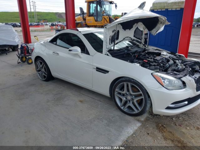 WDDPK4HA8FF102638 Mercedes-Benz Slk-class Slk 250