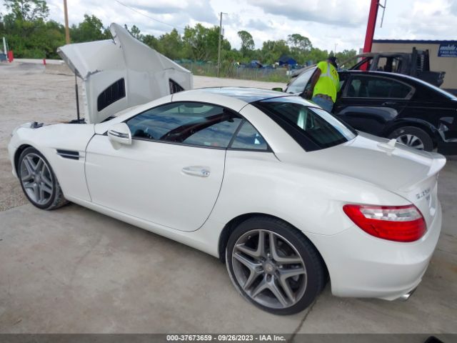 WDDPK4HA8FF102638 Mercedes-Benz Slk-class Slk 250