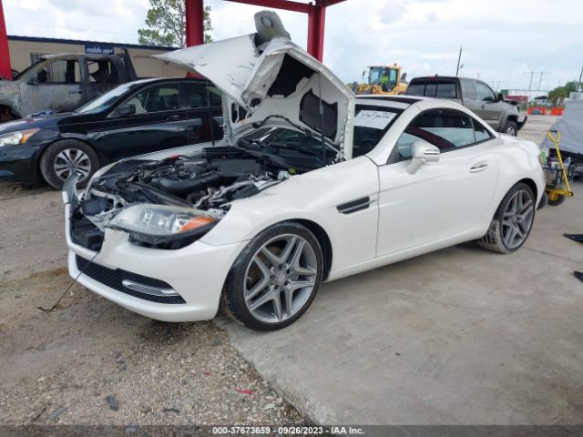 WDDPK4HA8FF102638 Mercedes-Benz Slk-class Slk 250