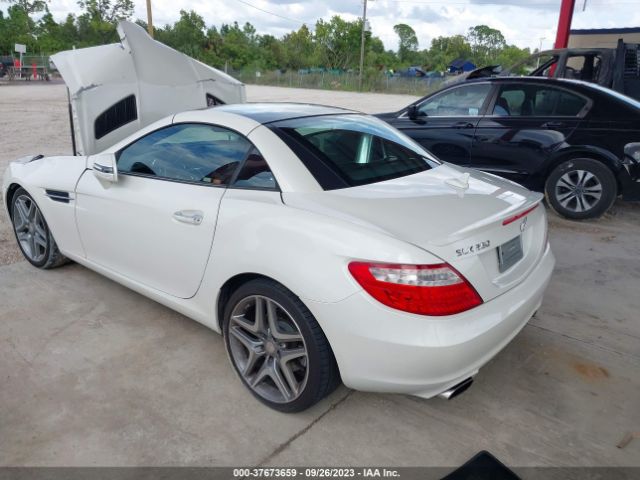 WDDPK4HA8FF102638 Mercedes-Benz Slk-class Slk 250