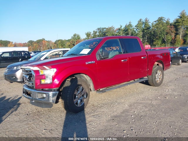 Ford F-150 Xlt 2015 1FTEW1E83FKF10879 Image 2