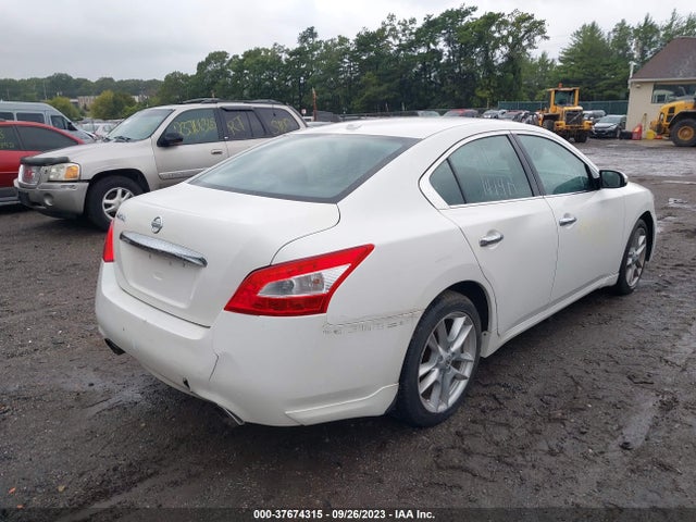 2010 NISSAN MAXIMA 3.5 SV VIN: 1N4AA5AP6AC861036