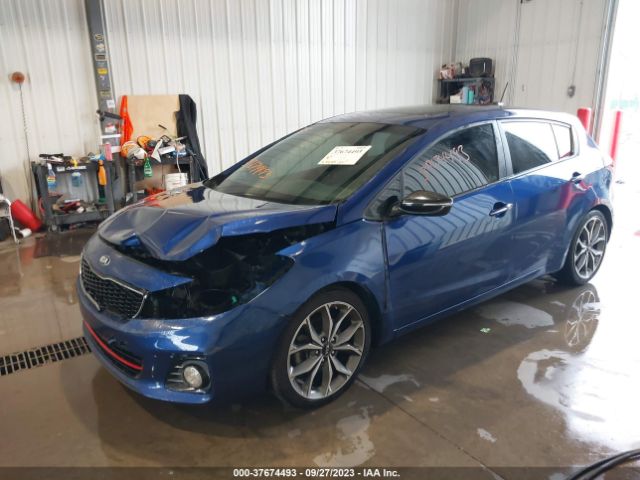 3KPFN5A33HE155520 KIA Forte5 Sx