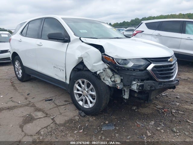 Chevrolet EQUINOX LS 2019 3GNAXHEV1KS558283 Image 1