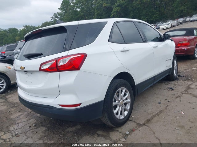 Chevrolet EQUINOX LS 2019 3GNAXHEV1KS558283 Image 4