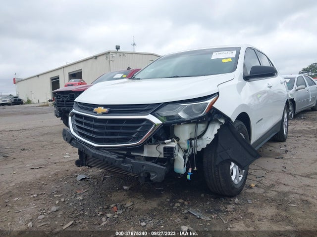 Chevrolet EQUINOX LS 2019 3GNAXHEV1KS558283 Image 6