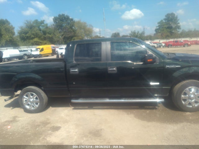 2013 FORD F-150 XLT VIN: 1FTFW1CT8DFA29883
