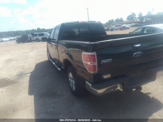 2013 FORD F-150 XLT VIN: 1FTFW1CT8DFA29883