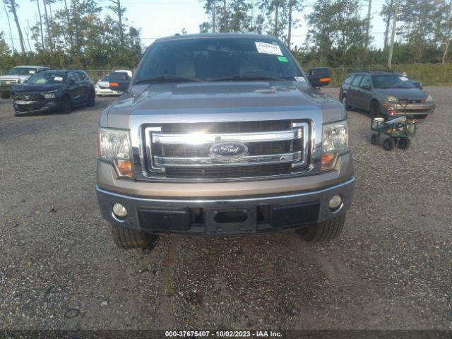 1FTMF1EF9EFA40861 Ford F-150 Xl/xlt/stx