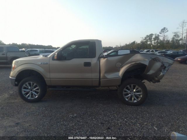 1FTMF1EF9EFA40861 Ford F-150 Xl/xlt/stx