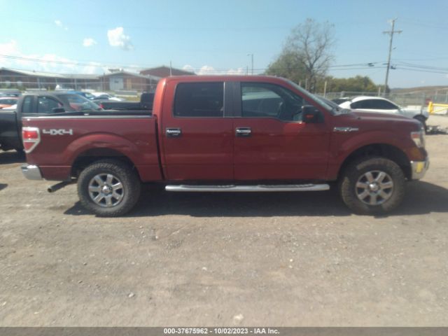 1FTFW1EF8EKD79580 Ford F-150 Xl/xlt/stx/fx4/lariat