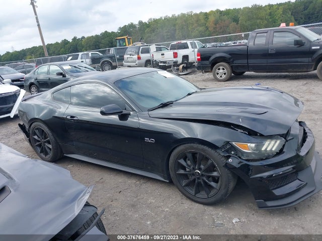Ford MUSTANG GT 2016 1FA6P8CF1G5263783 Image 13