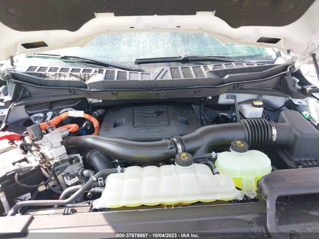 2023 FORD F-150 XL/XLT/LARIAT VIN: 1FTFW1ED7PFA95609