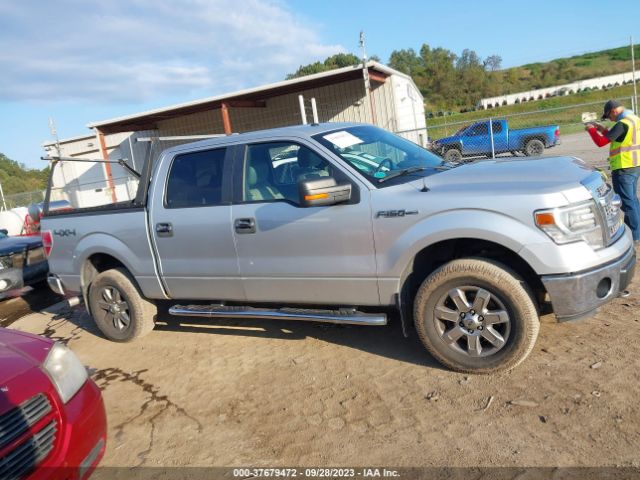 1FTFW1EF7EFB00435 Ford F-150 Xl/xlt/stx/fx4/lariat