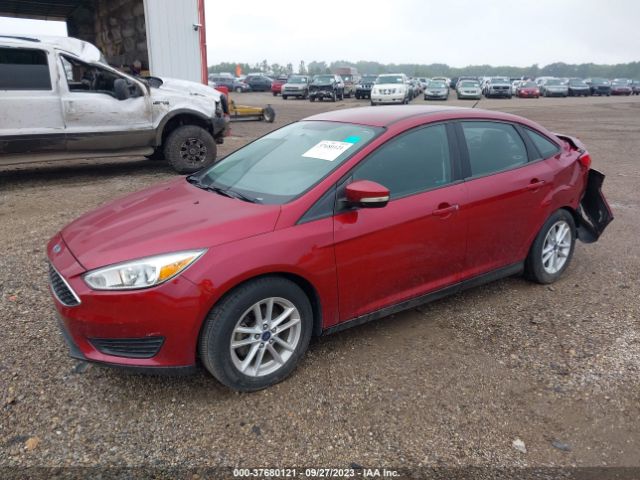 1FADP3F2XHL252961 Ford FOCUS SE
