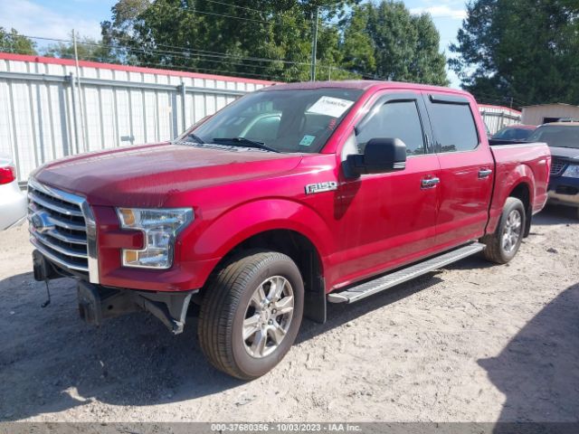 1FTEW1C8XFKE70562 Ford F-150 Xlt