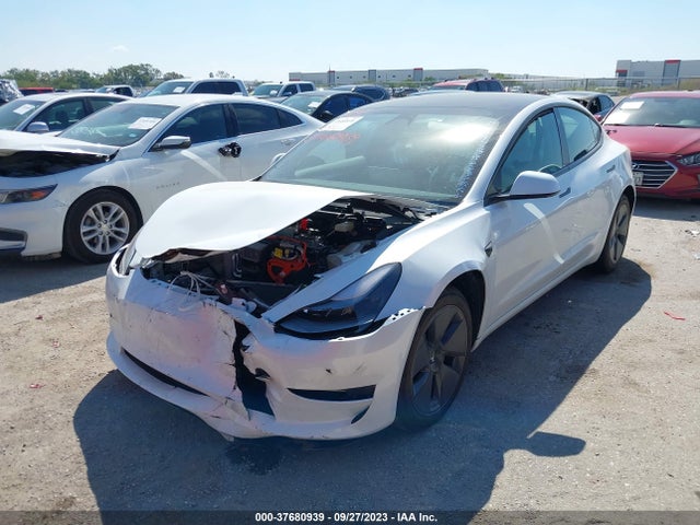 Tesla Model 3 Rear-wheel Drive 2023 5YJ3E1EA1PF630742 Image 6