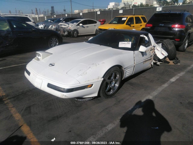 1992 CHEVROLET CORVETTE VIN: 1G1YY23P4N5102453