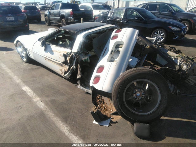 1992 CHEVROLET CORVETTE VIN: 1G1YY23P4N5102453