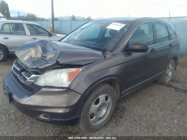 2010 HONDA CR-V LX VIN: 5J6RE4H34AL022351