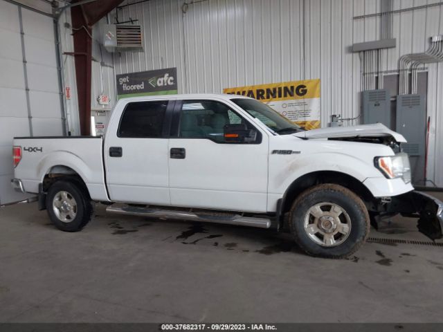 1FTFW1EF7EFA38020 Ford F-150 Xl/xlt/stx/fx4/lariat